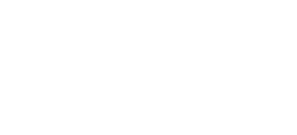 renew energy partners logo
