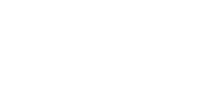 renew energy partners logo